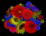 Botanical Portraits of Flowers