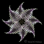 Botanical Portraits of Plants